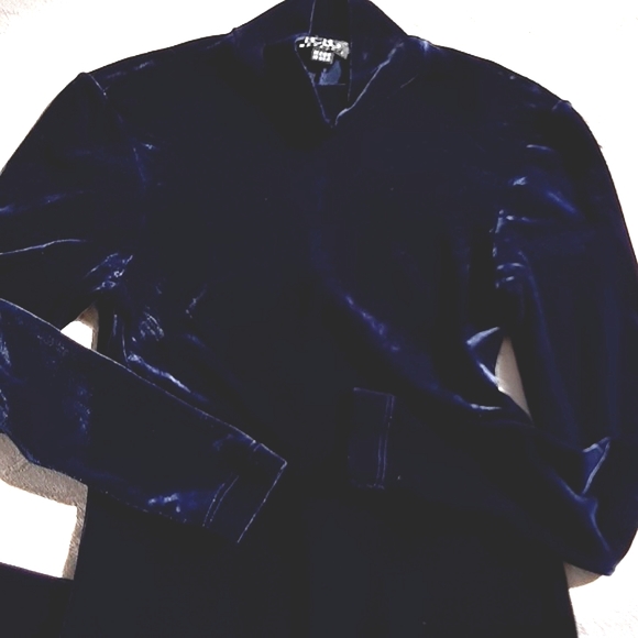 BCBG Max Azria Vintage Midnight Blue Velvet Mockneck Gown - Picture 6 of 12